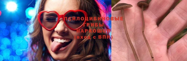 mdpv Новозыбков