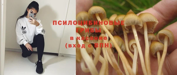 кокс Новодвинск