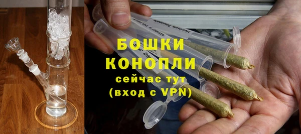 амф Тавда