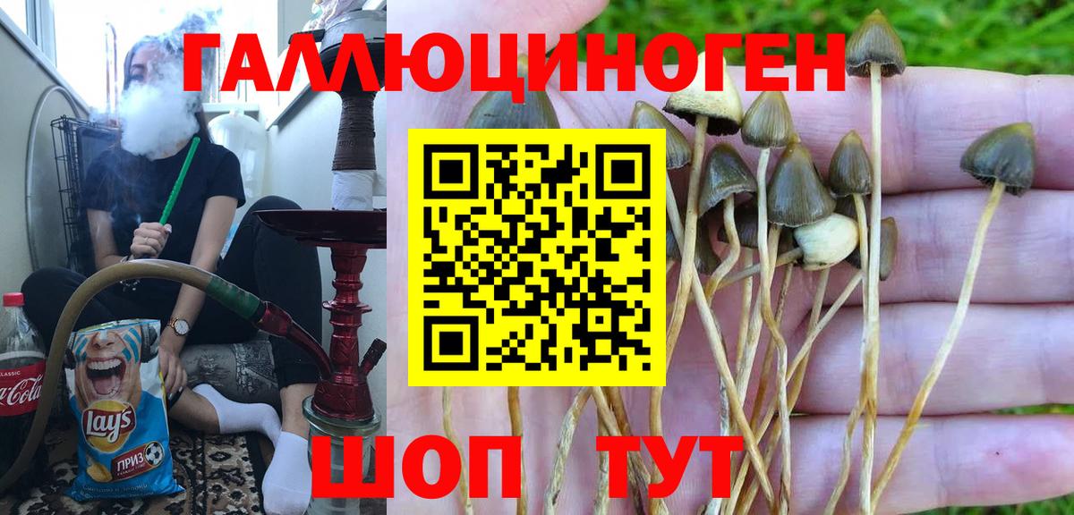 Галлюциногенные грибы MAGIC MUSHROOMS Волоколамск