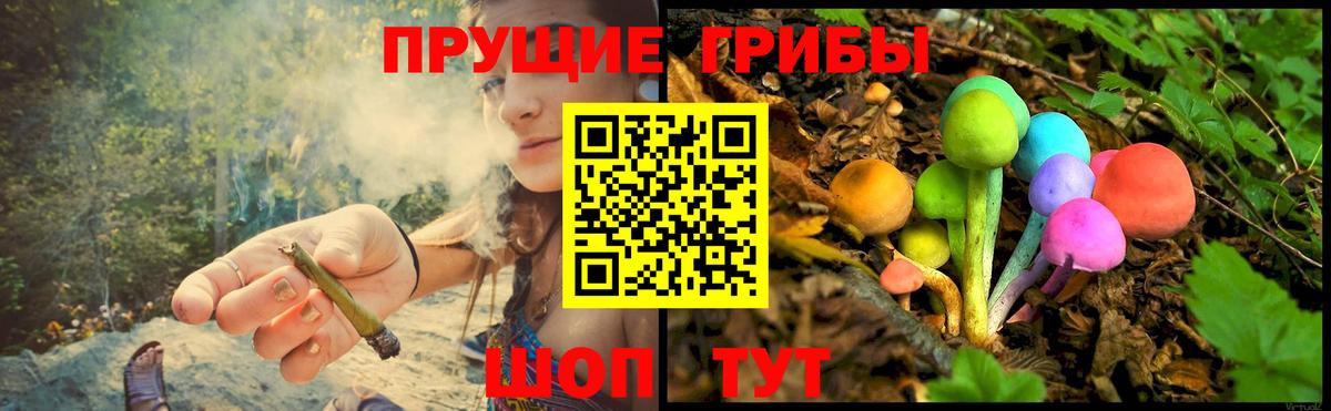 Галлюциногенные грибы ЛСД  Вход с VPN  Волоколамск 